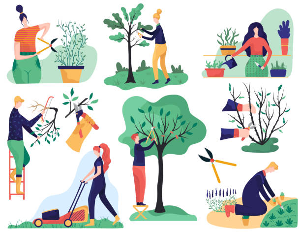 axelle msad propose du jardinage